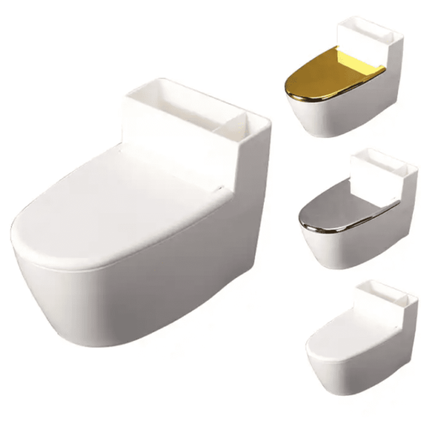 Wall Mounted Ashtray Toilet