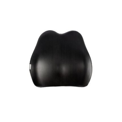 Green Lion Car Seat Back Cusion