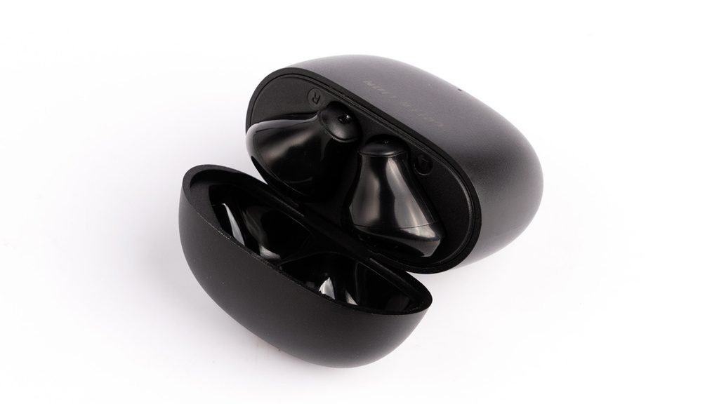 Green Lion Tribe Earbuds - Image 3